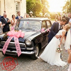 Just Married Wedding Car Decorations Kit Pink Car Bow Ribbon