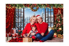 20x10ft Christmas Window Backdrop for Photography Winter Wonderland Snow Moun…