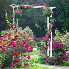 Wedding Arch Garden Arbor Metal Durable Iron for Climbing Plant Outdoor Ceremony