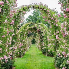 Metal Garden Arch Arbor Garden Archway for Wedding Bridal Party Festival Events