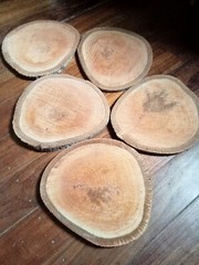 21cm natural tree trunk wood slice craft wedding table centre piece decoration 