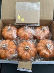 Kate Aspen Fall Decor Mini Orange Pumpkin Place Card Holder (Set of 6), New