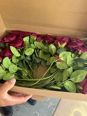 wedding decorations used lot