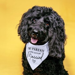 Natural Cotton Dog Triangle for Weddings | Perfect for Engagement Announcements