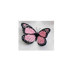 3D Colorful Artificial Butterflies Set PVC Craft Wedding Party Floral Decor Gift