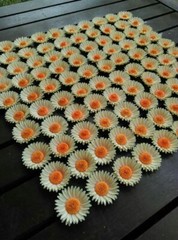 Paper flower handmade 3D handcraft wedding party venue decoration 50 pieces