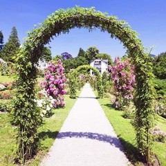 Metal Garden Arch with Ground Stakes Climbing Plant Trellis Wedding Frame Decor