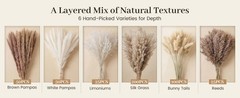 450PCS Natural Dried Ppas Decor – Dried Flower Filler for