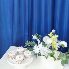 8×10 ft ROYAL BLUE Satin CURTAIN Wedding Photography Backdrop Panel Party