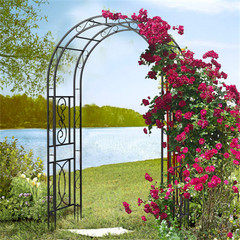 Metal Garden Arch with Ground Stakes Climbing Plant Trellis Wedding Frame Decor