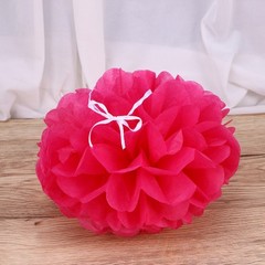 12 PCS Tissue Flowers Decorations Paper Pompoms Balls Floral Decorative
