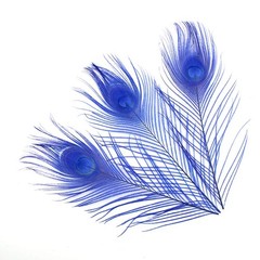 Shekyeon 10-12inch Dyeing Peacock Feathers Bleached Plume Wedding Table Cente…