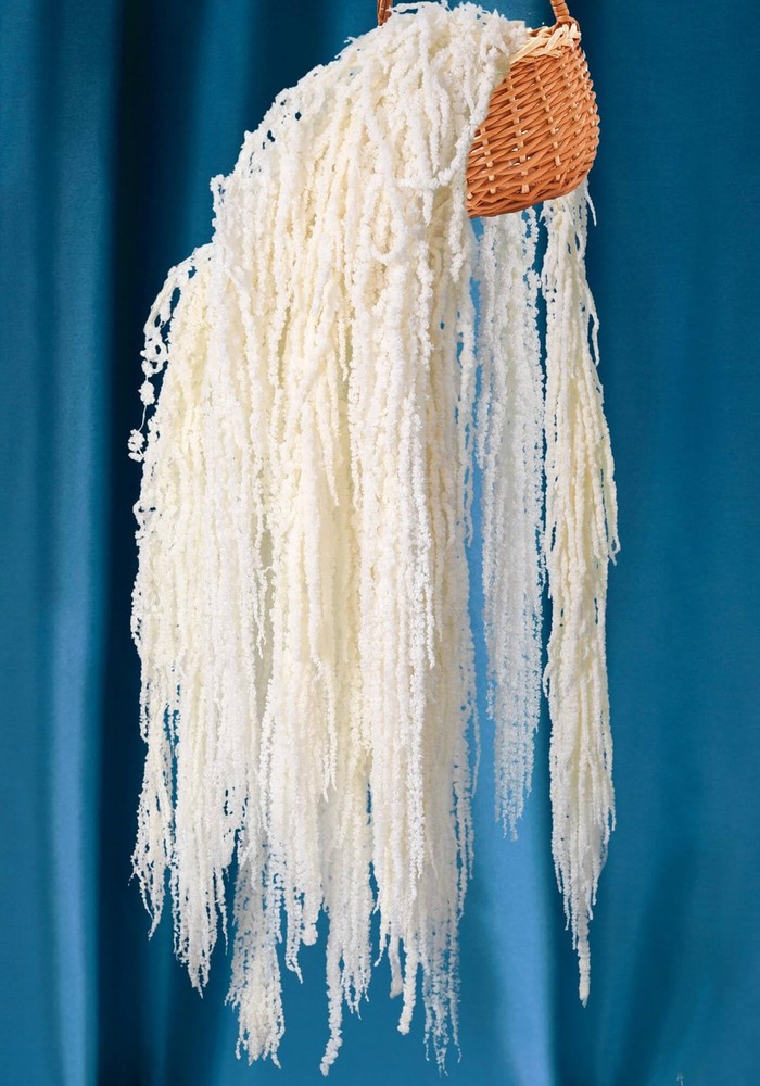 12PCS Dried Amaranthus Hanging Flowers – 23″ Ivory White Preserved Floral Ste…