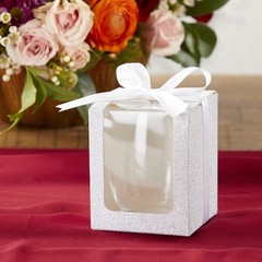 Kate Aspen Silver Shimmer Display/Gift/Favor Box, Wedding/Party Decoration, c…