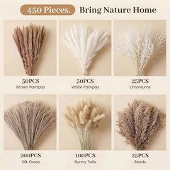 450PCS Natural Dried Ppas Decor – Dried Flower Filler for