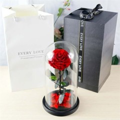 Eternal Rose in Glass Dome – Valentine’s Day Gift