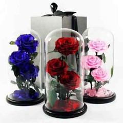 Three Eternal Roses with Glass Dome – Valentine’s Day Gift