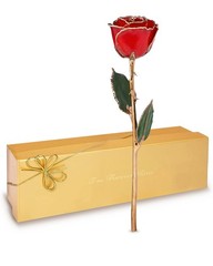 Forever Rose Real Red Rose Dipped in 24K Gold with Gold-Trimmed Petals and St…