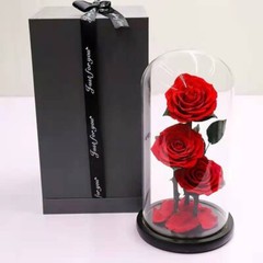 Eternal Rose in Glass Dome – Valentine’s Day Gift