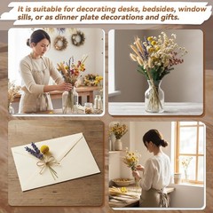 345 Pcs Lar Boho Dried Flower Bouquet Wedding Dry Flowers Decor