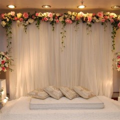 Wisfor 10Ft Metal Wedding Backdrop Stand Double Drape Party Stage Canopy Frame