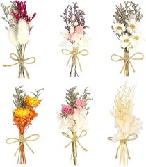 6Pcs Mini Dried Flowers Bouquet, Mixed Natural Dried Flowers Gypsophila