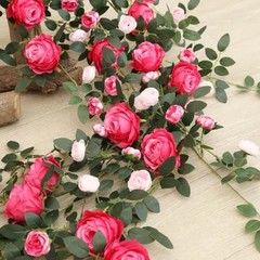 Two-tone rose vine2-Pack 74.8in Dual-Color Artificial Rose Vines, Deep Pink