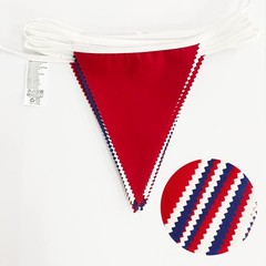32Ft Red Blue White Banner Party Decorations Fabric Pennant Triangle Flag Bun…