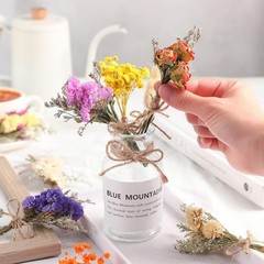 10 Pcs Mini Dried Flowers Bouquet Natural Gypsophila Don’t Fort Me Dried