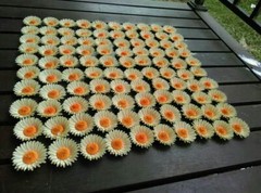 Paper flower handmade 3D handcraft wedding party venue decoration 50 pieces