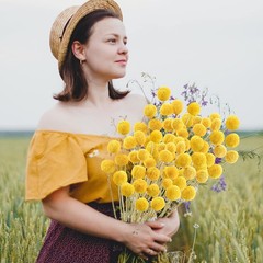 30Pcs Natural Dried Flowers Craspedia Billy Balls Flowers Billy