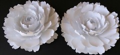 Paper Flowers Wedding Party Nursery Sign Wall Decor Shower Peonies 2 Pieces