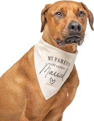 Natural Cotton Dog Triangle for Weddings | Perfect for Engagement Announcements
