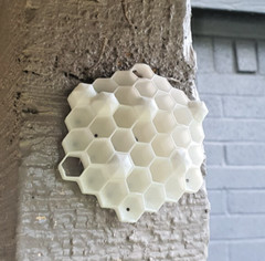Outdoor Wedding Reception Chemical Free Wasp Nest Decoy Hornet Deterrent 25 Pack