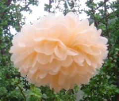 6x 30cm tissue paper pom poms wedding anniversary baby shower party venue decor