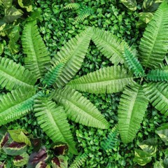 9 Pcs Artificial Boxwood Hedge Panels 60 × 40 × 4 cm Green