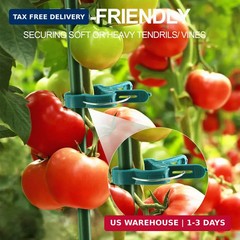 Yinghezu 40 Pcs Plant Support Clips,Tomato Plant Clips 2 Sizes in one Pack | Flo