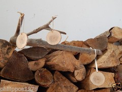 6 wooden tags from greek olive branch or other – wedding decoration -wood slice